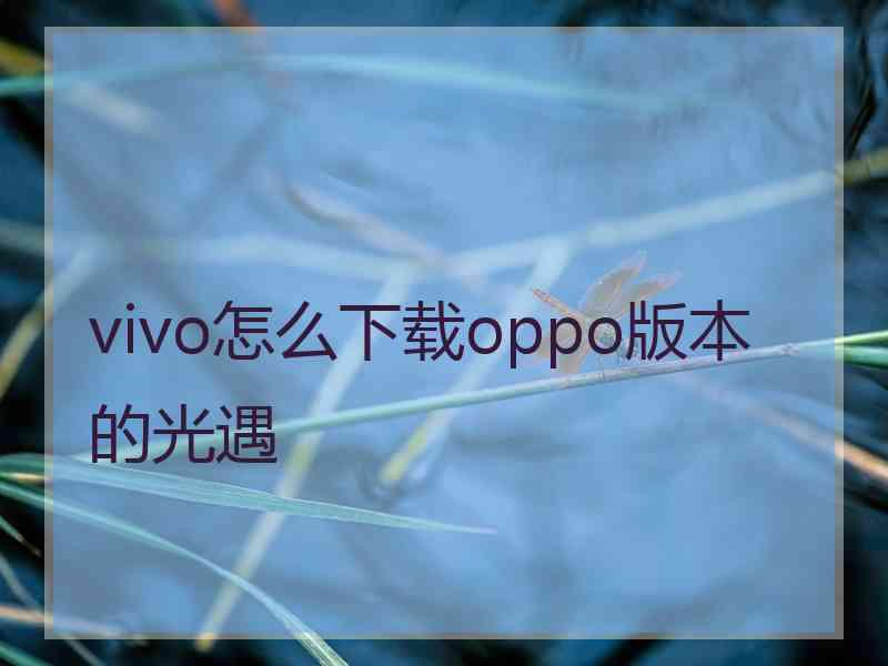 vivo怎么下载oppo版本的光遇