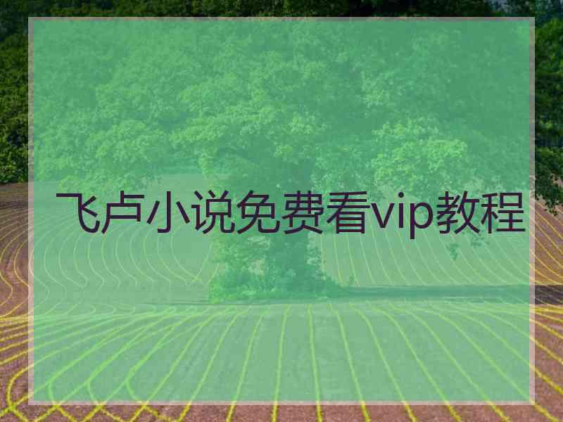 飞卢小说免费看vip教程