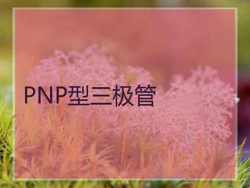 PNP型三极管