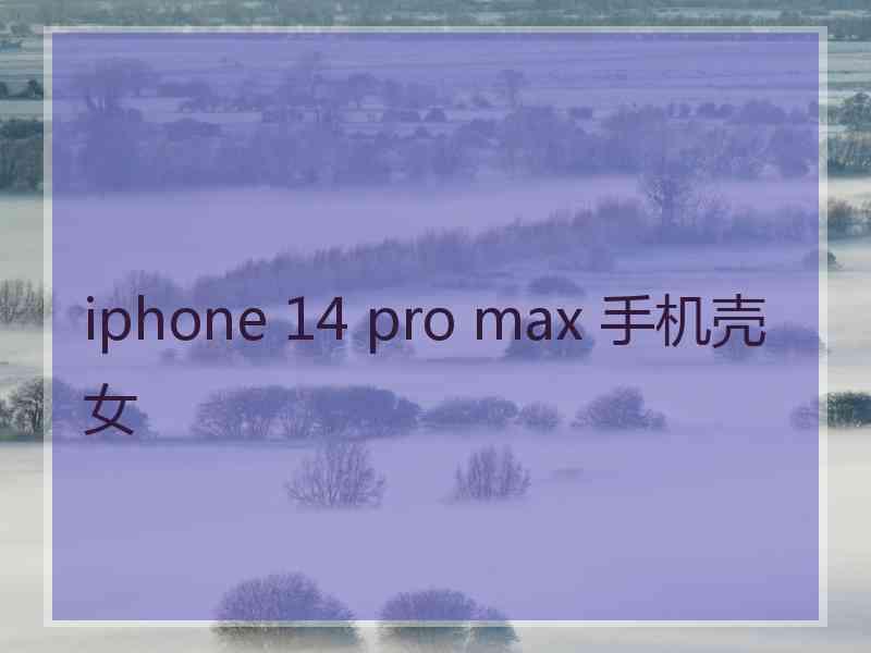 iphone 14 pro max 手机壳女