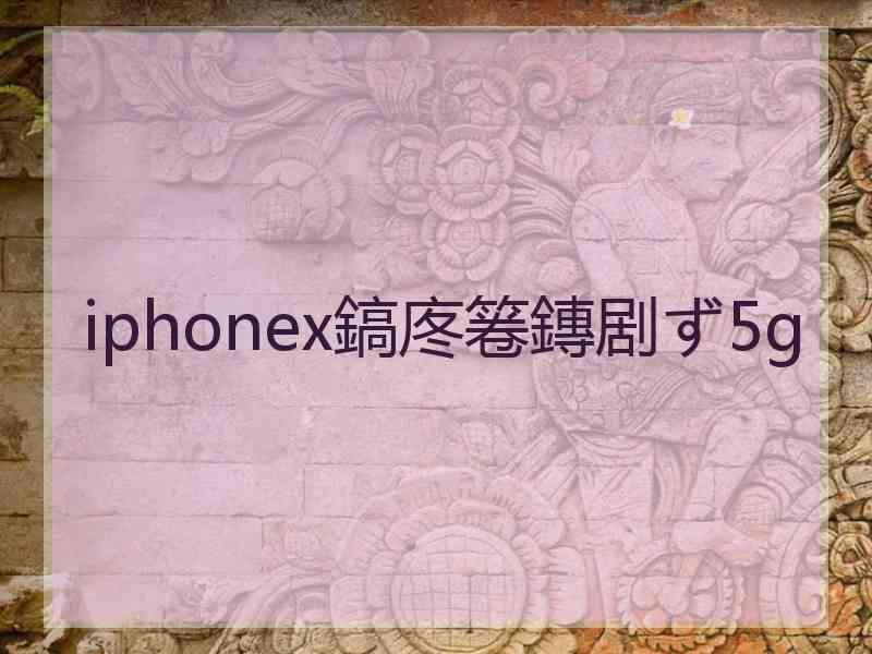 iphonex鎬庝箞鏄剧ず5g