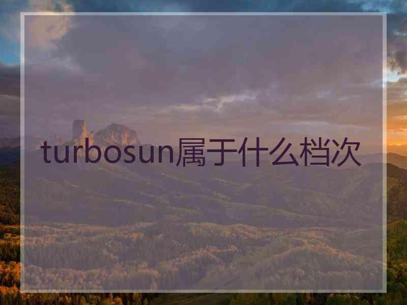 turbosun属于什么档次