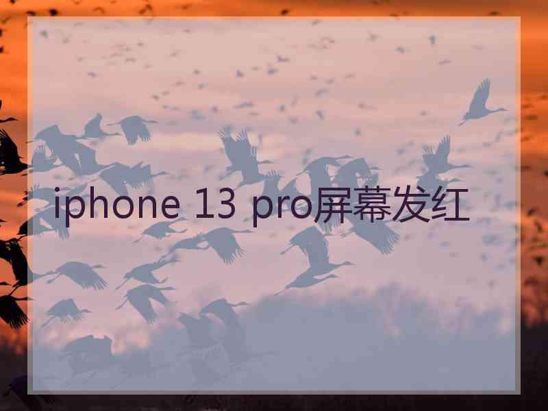 iphone 13 pro屏幕发红