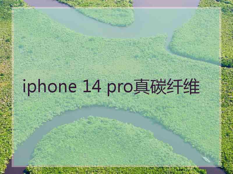 iphone 14 pro真碳纤维