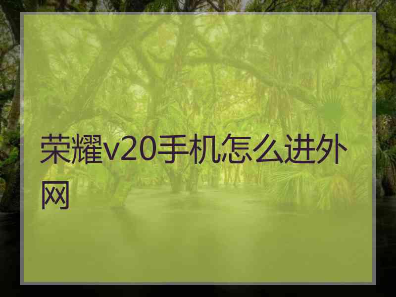 荣耀v20手机怎么进外网