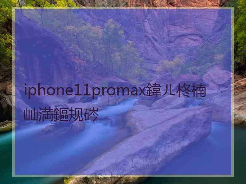 iphone11promax鍏ㄦ柊楠屾満鏂规硶