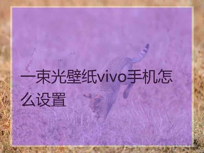 一束光壁纸vivo手机怎么设置