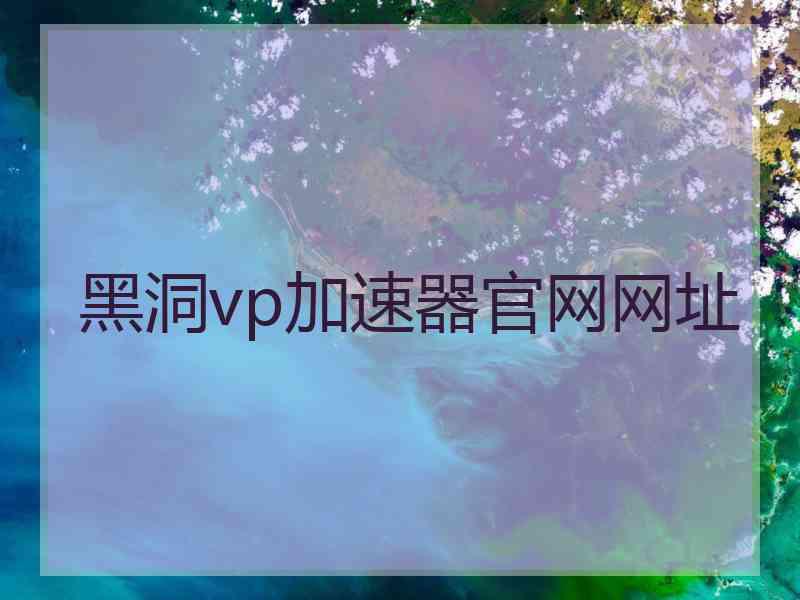 黑洞vp加速器官网网址