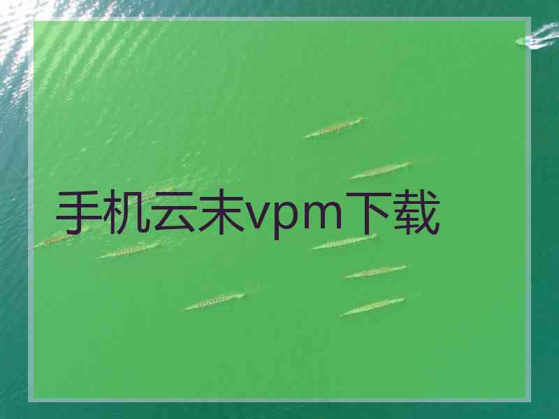 手机云末vpm下载