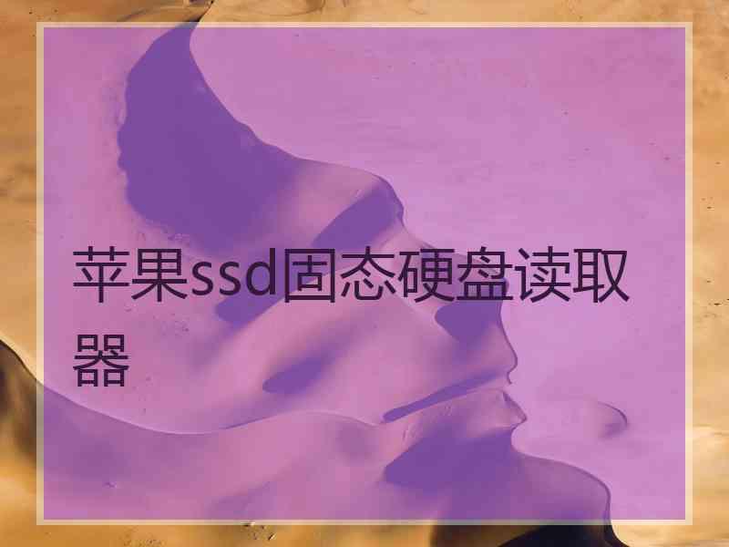 苹果ssd固态硬盘读取器