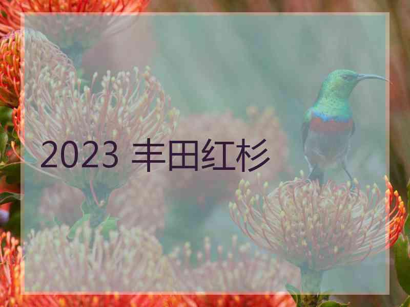 2023 丰田红杉