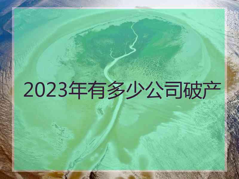 2023年有多少公司破产