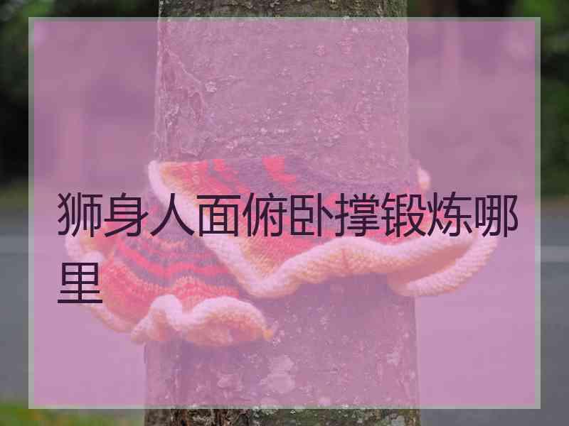 狮身人面俯卧撑锻炼哪里