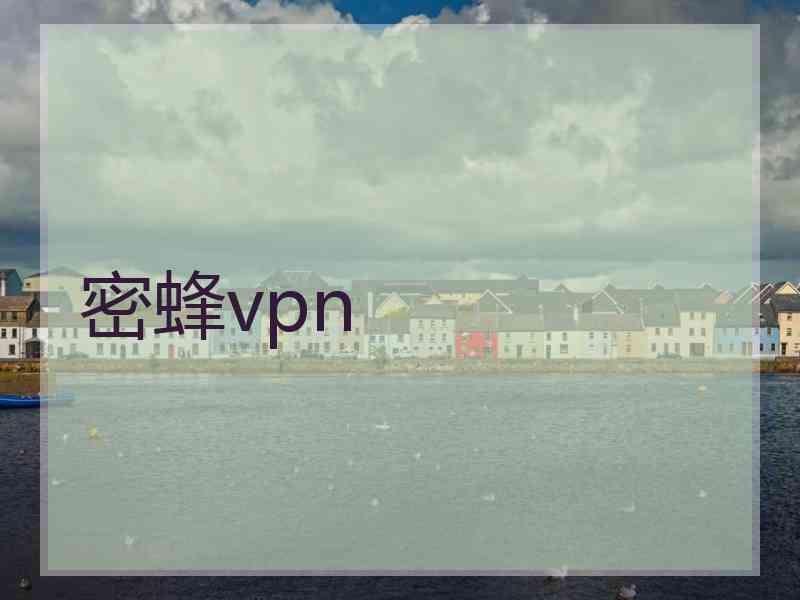 密蜂vpn