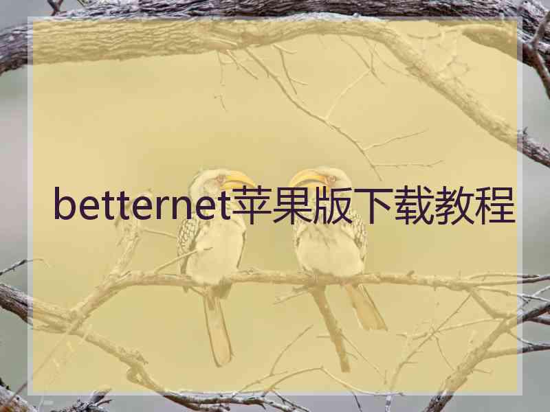 betternet苹果版下载教程