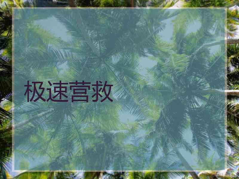 极速营救