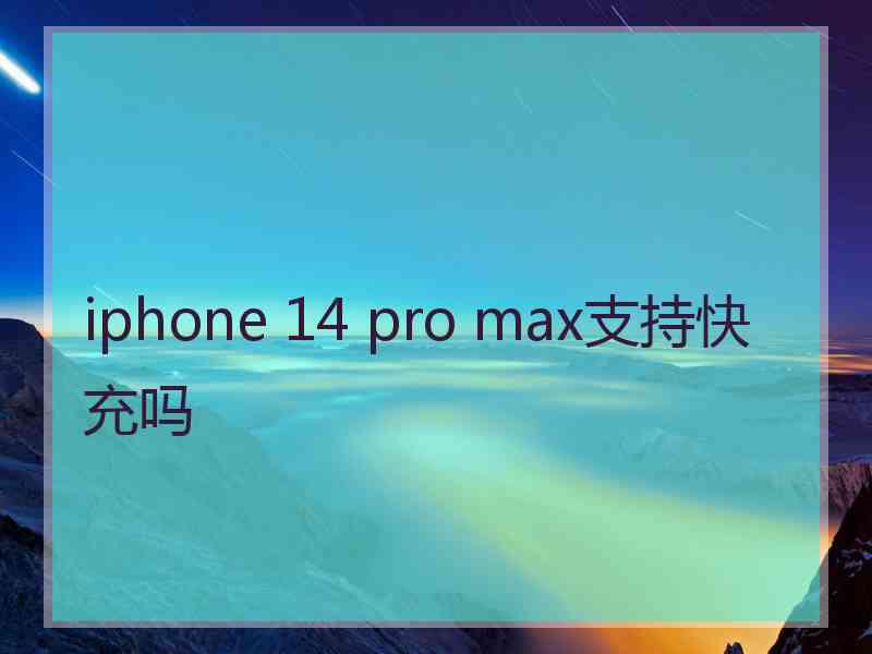 iphone 14 pro max支持快充吗