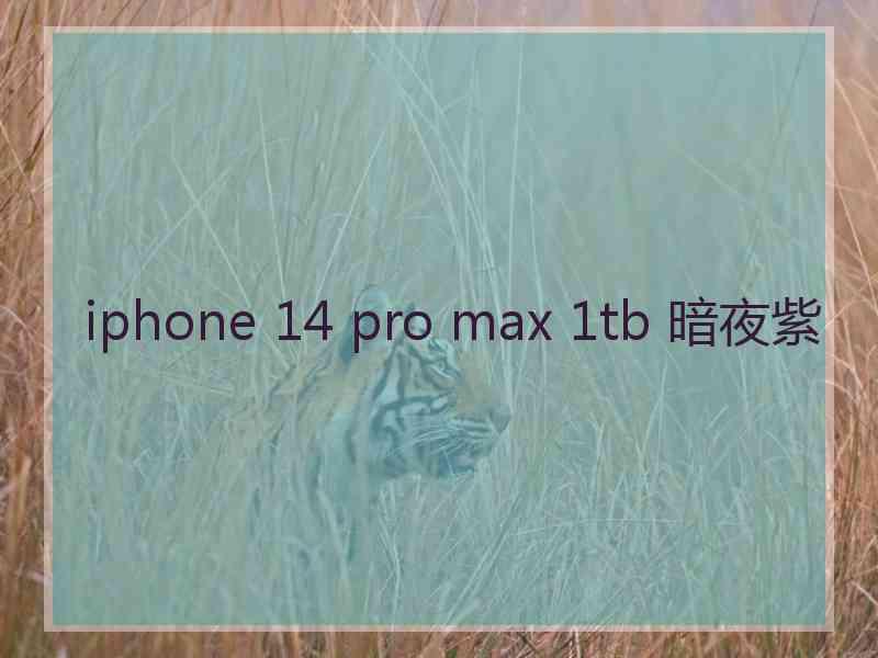 iphone 14 pro max 1tb 暗夜紫