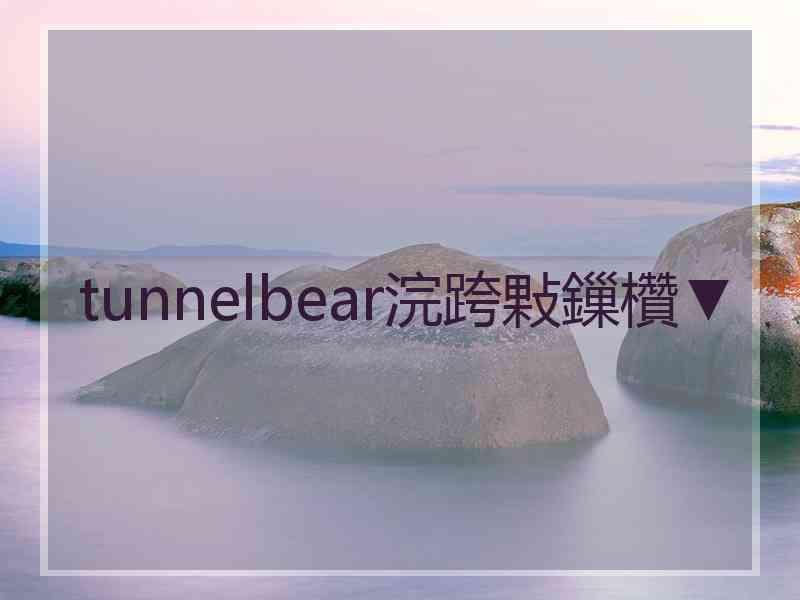 tunnelbear浣跨敤鏁欑▼