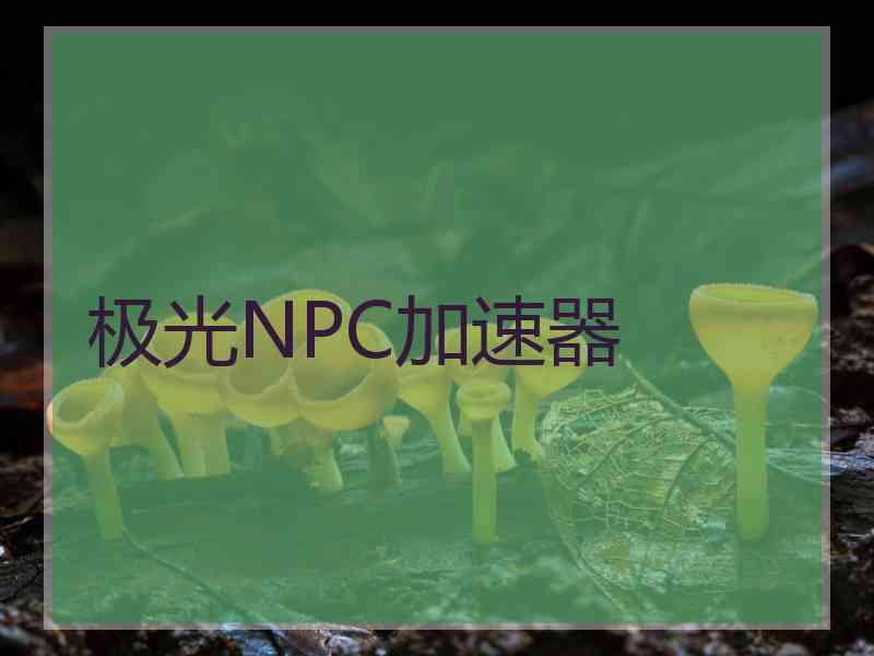 极光NPC加速器