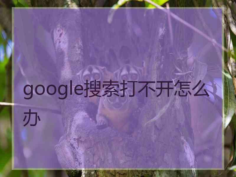 google搜索打不开怎么办