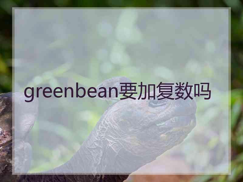 greenbean要加复数吗