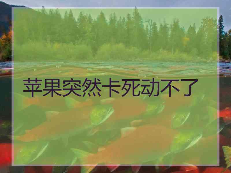 苹果突然卡死动不了