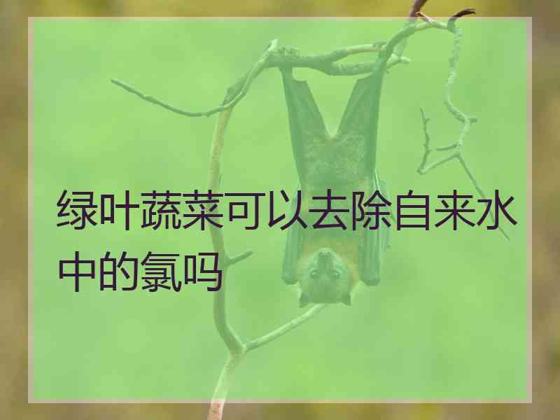 绿叶蔬菜可以去除自来水中的氯吗