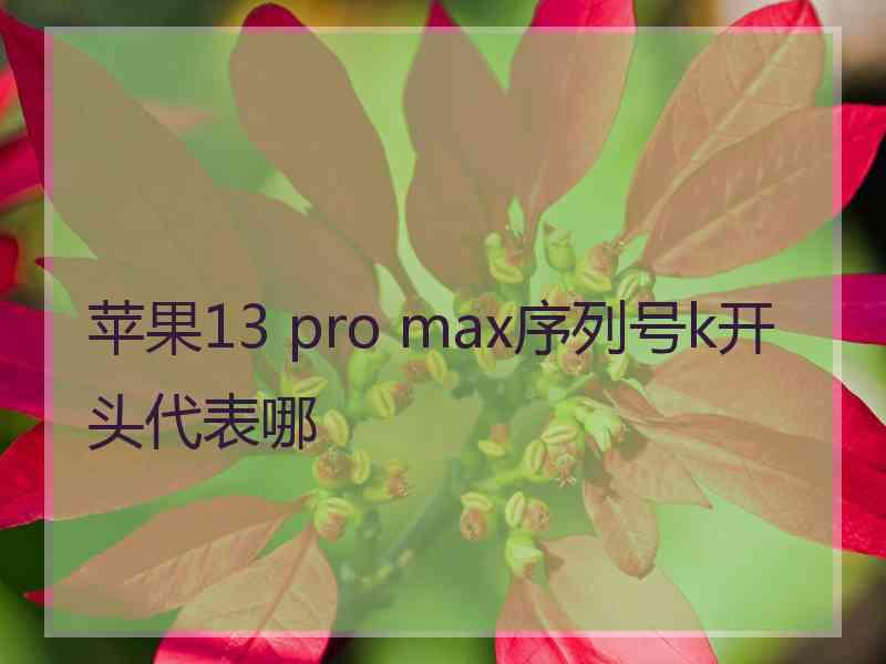 苹果13 pro max序列号k开头代表哪