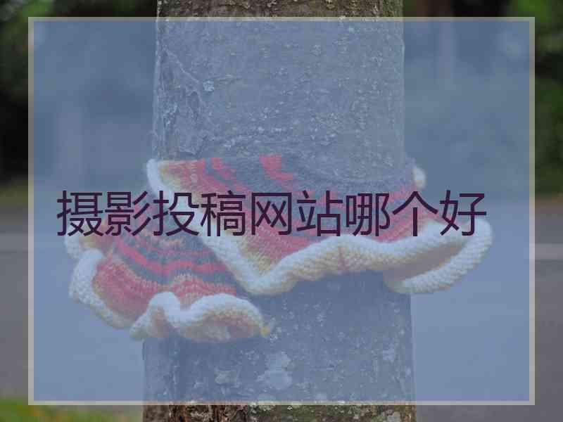 摄影投稿网站哪个好