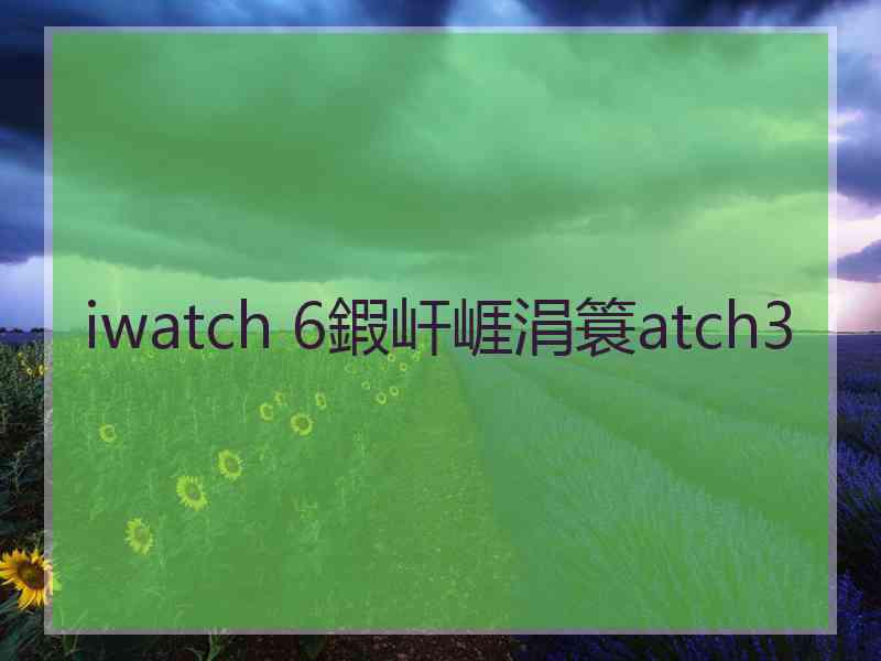 iwatch 6鍜屽崕涓簑atch3