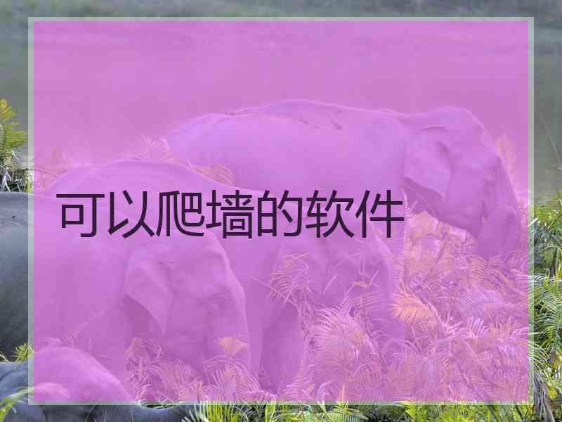 可以爬墙的软件