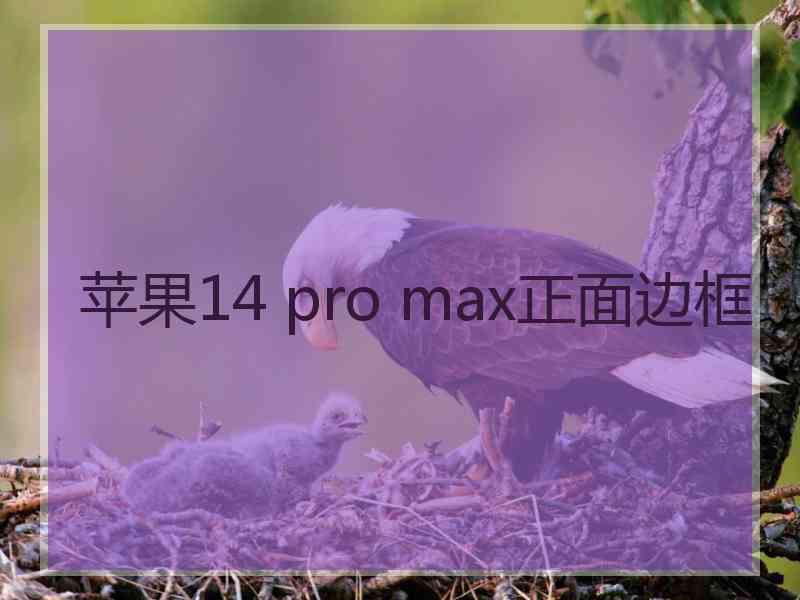 苹果14 pro max正面边框