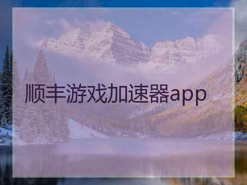 顺丰游戏加速器app