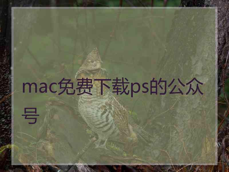 mac免费下载ps的公众号