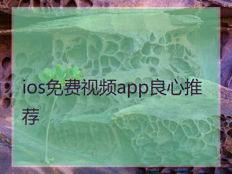 ios免费视频app良心推荐