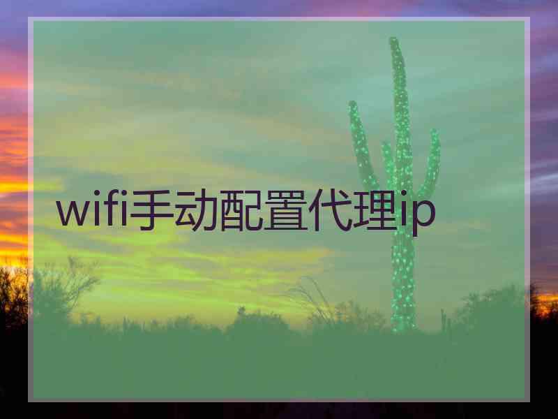 wifi手动配置代理ip