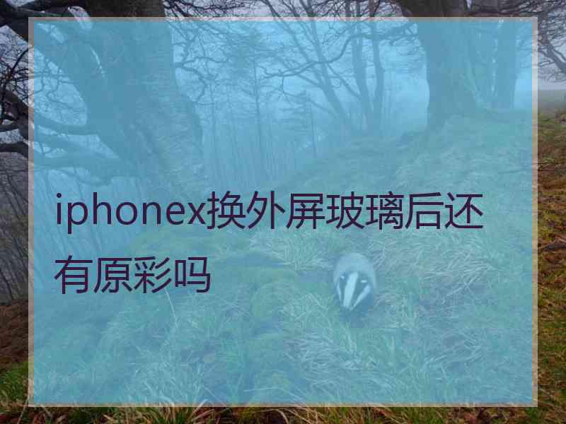 iphonex换外屏玻璃后还有原彩吗