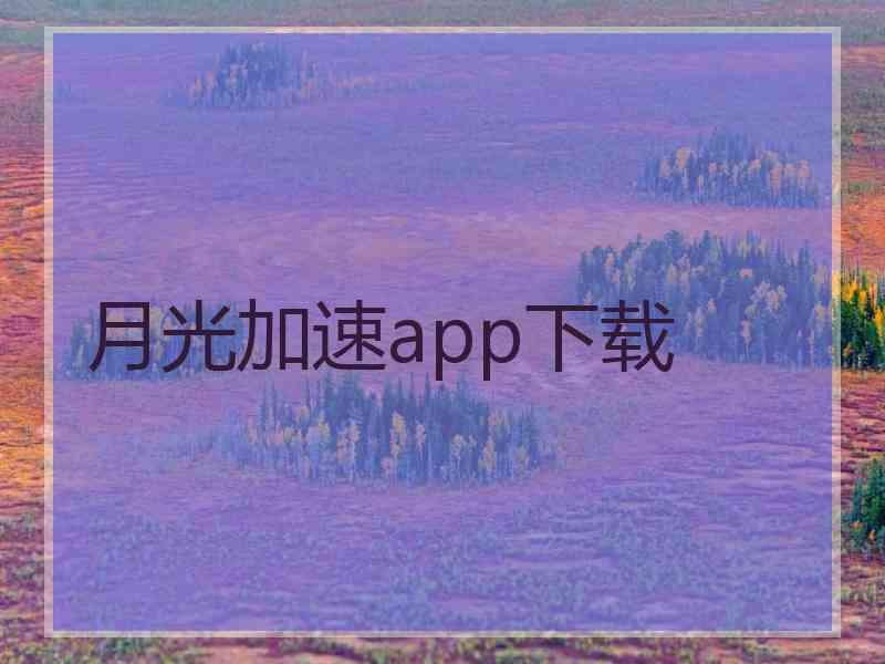 月光加速app下载