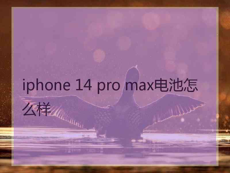 iphone 14 pro max电池怎么样