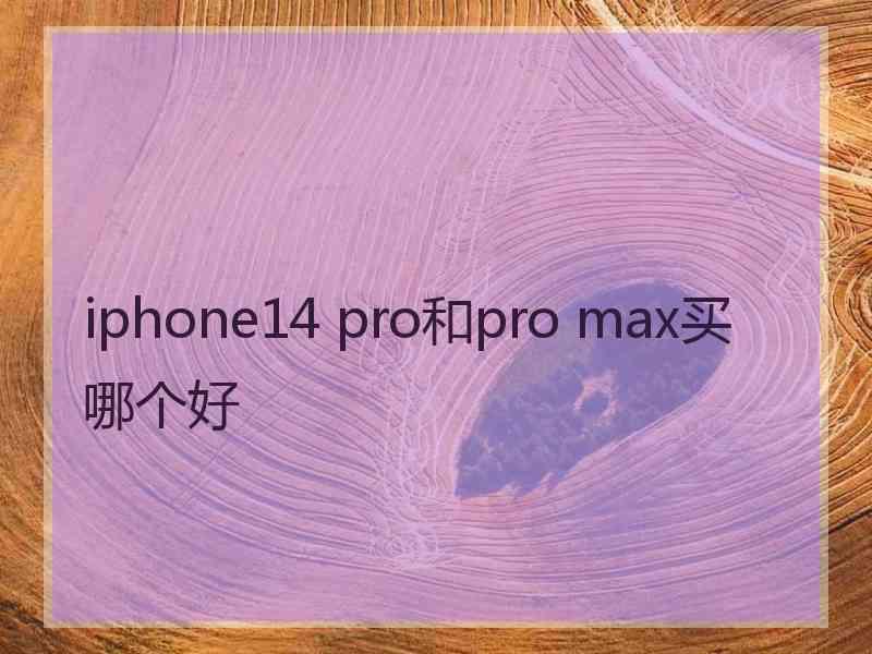 iphone14 pro和pro max买哪个好