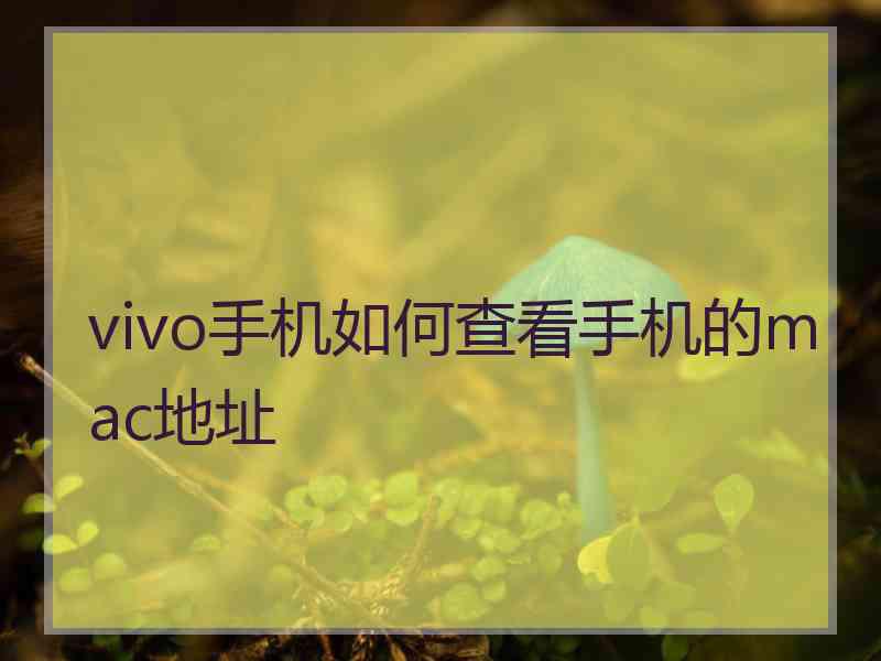 vivo手机如何查看手机的mac地址