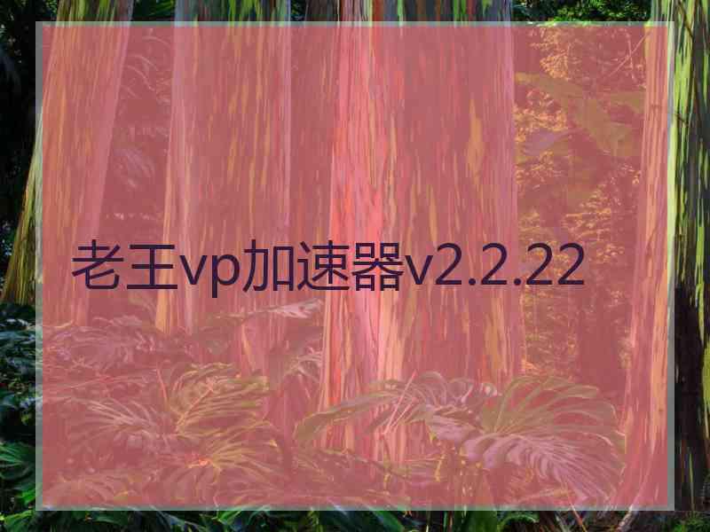 老王vp加速器v2.2.22