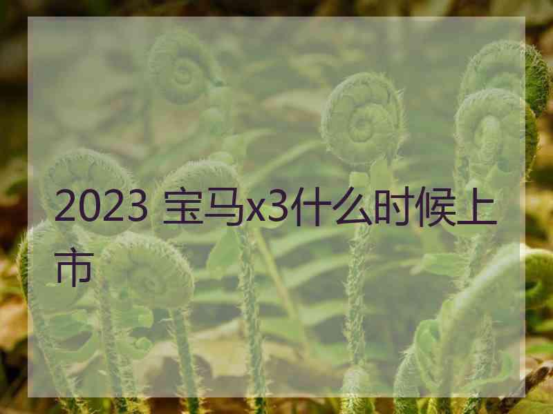 2023 宝马x3什么时候上市