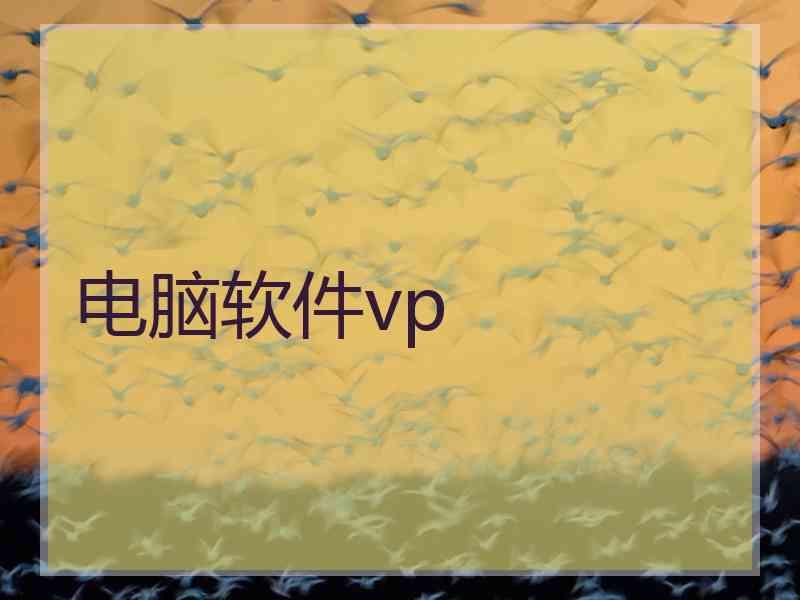 电脑软件vp