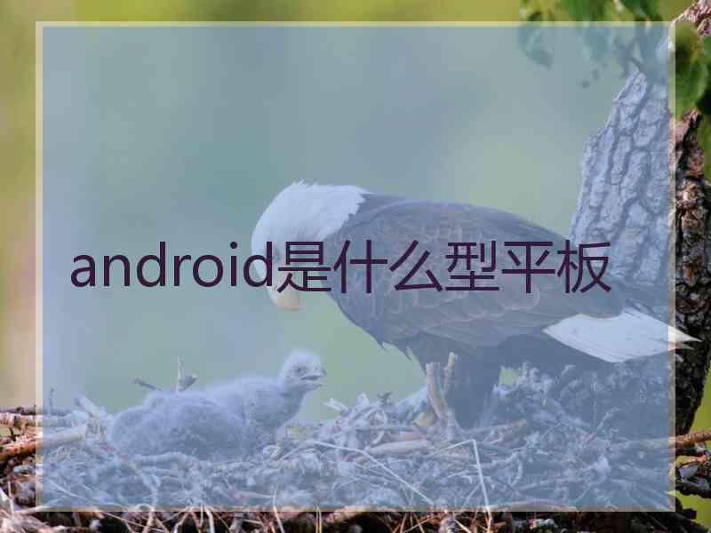 android是什么型平板