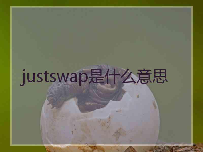 justswap是什么意思