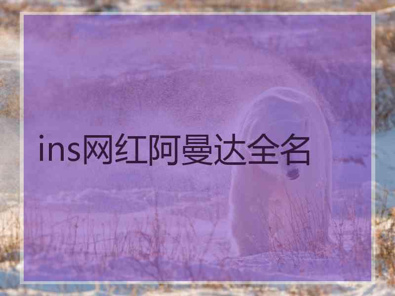 ins网红阿曼达全名