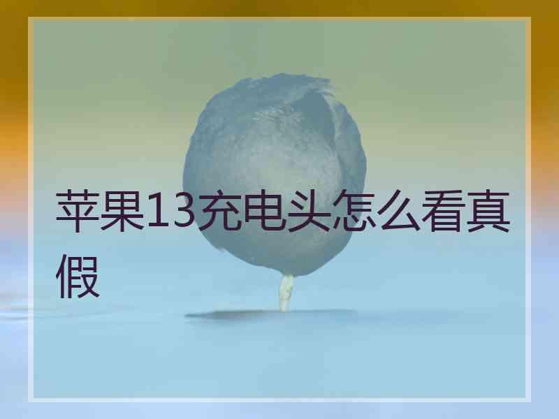 苹果13充电头怎么看真假