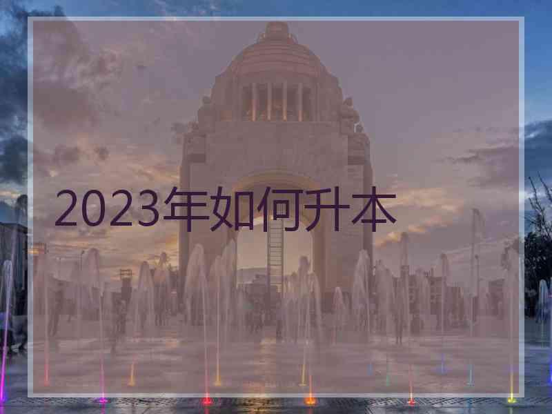 2023年如何升本